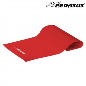 Λάστιχο Ενδυνάμωσης Κορδέλα Pegasus® (Light) Β6308-L - σε 12 άτοκες δόσεις