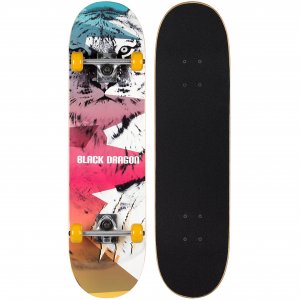 Skateboard Street Natives WGF 52NS-WGF - σε 12 άτοκες δόσεις