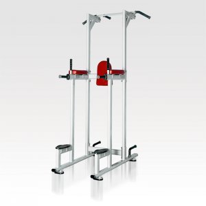 VIKING H-027 Vertical Knee Raise Μονόζυγο/Δίζυγο - 102402 - Σε 12 Άτοκες Δόσεις